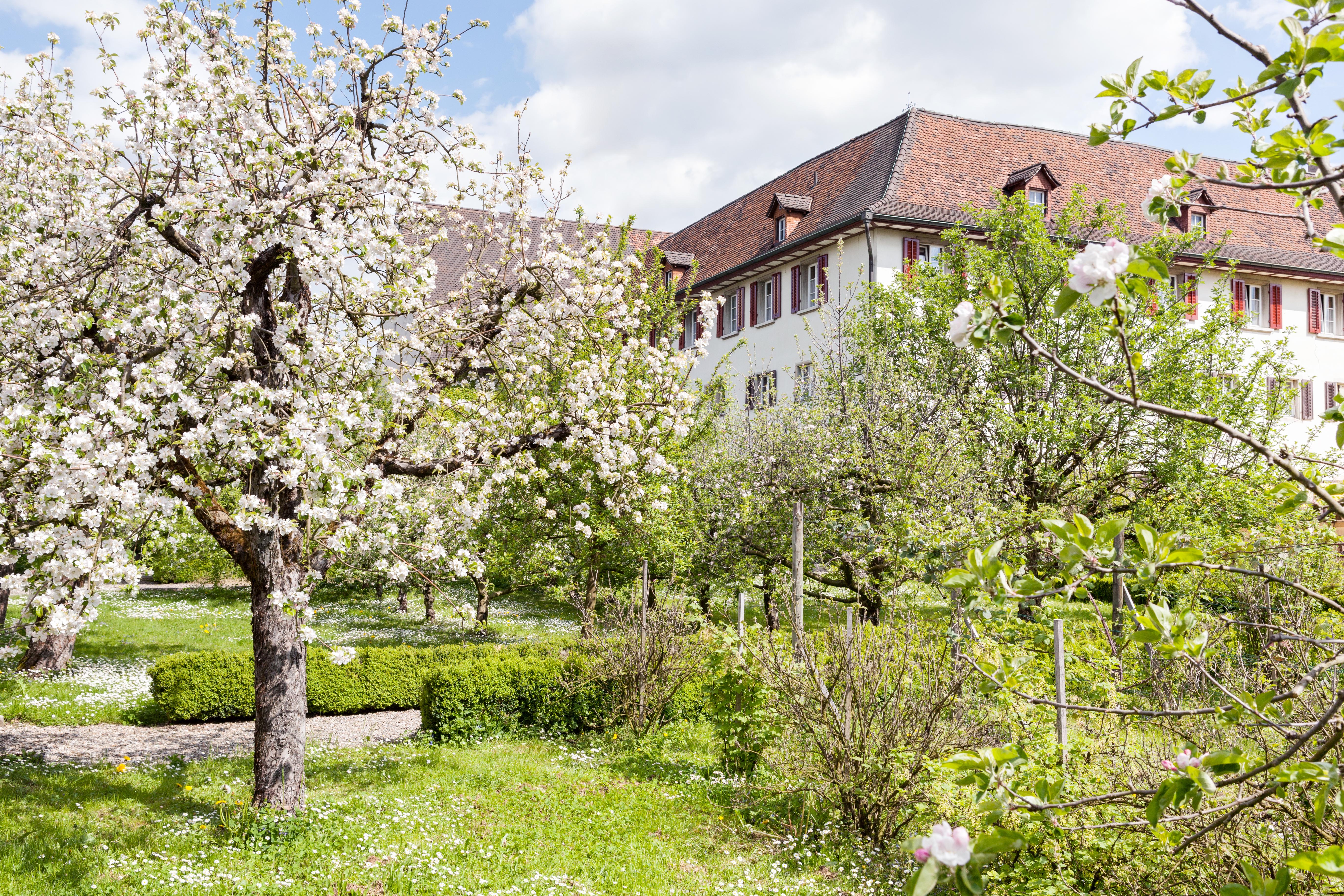 Gemeinsame Gartentage im Klostergarten
