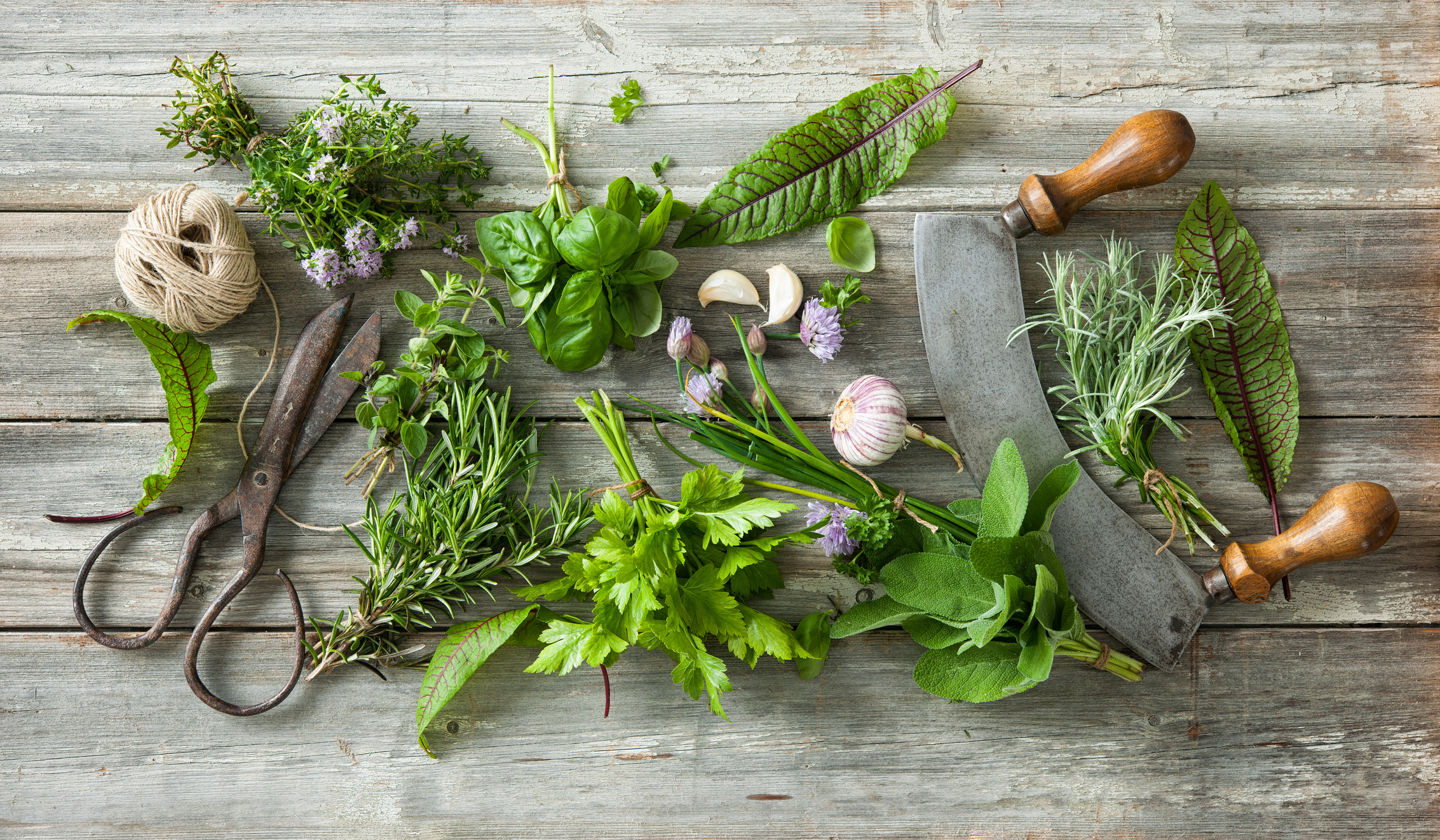 Küchenworkshop - TRADITIONELLE SCHMORGERICHTE und kreative, vegetarische Varianten, die begeistern.