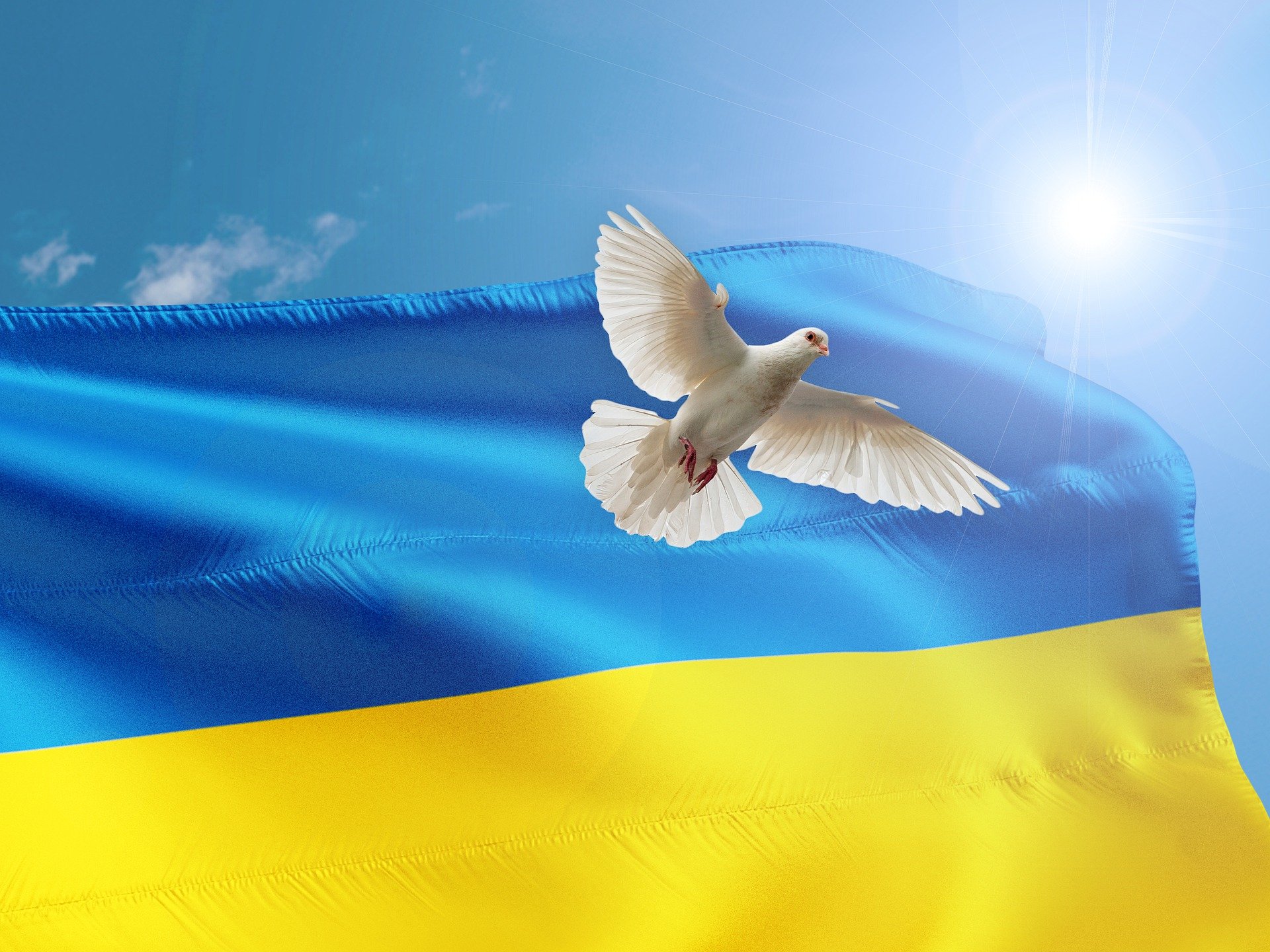Friedensgebet für die Ukraine jeden Sonntag 18 Uhr in der Klosterkirche